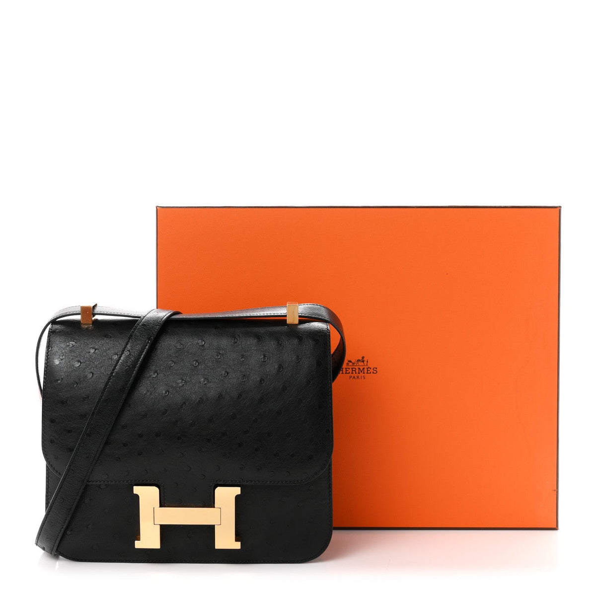 Ostrich Constance 24 Black