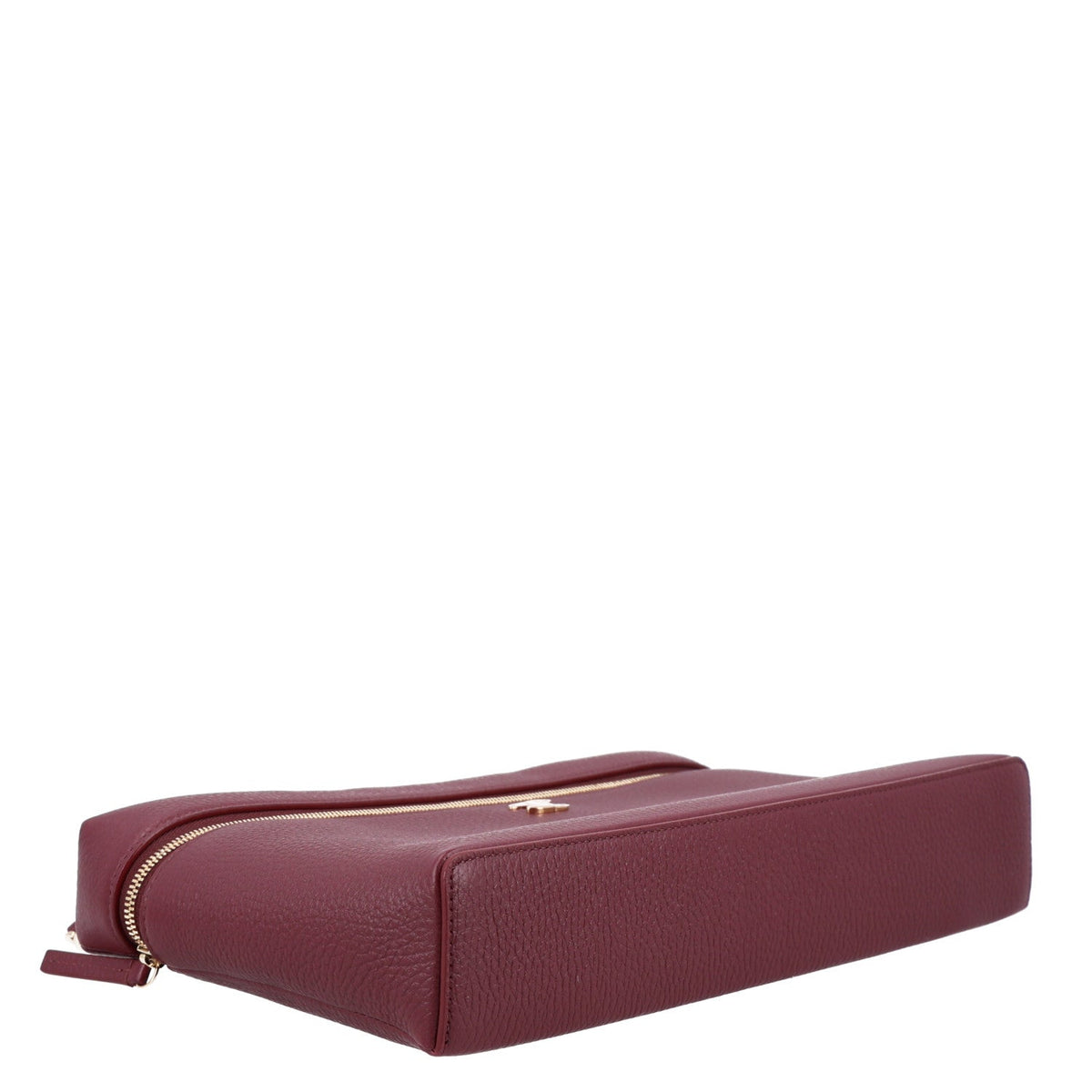 Grained Calfskin Large Supple Trapeze Vanity Case With Chain Dark Burgundy