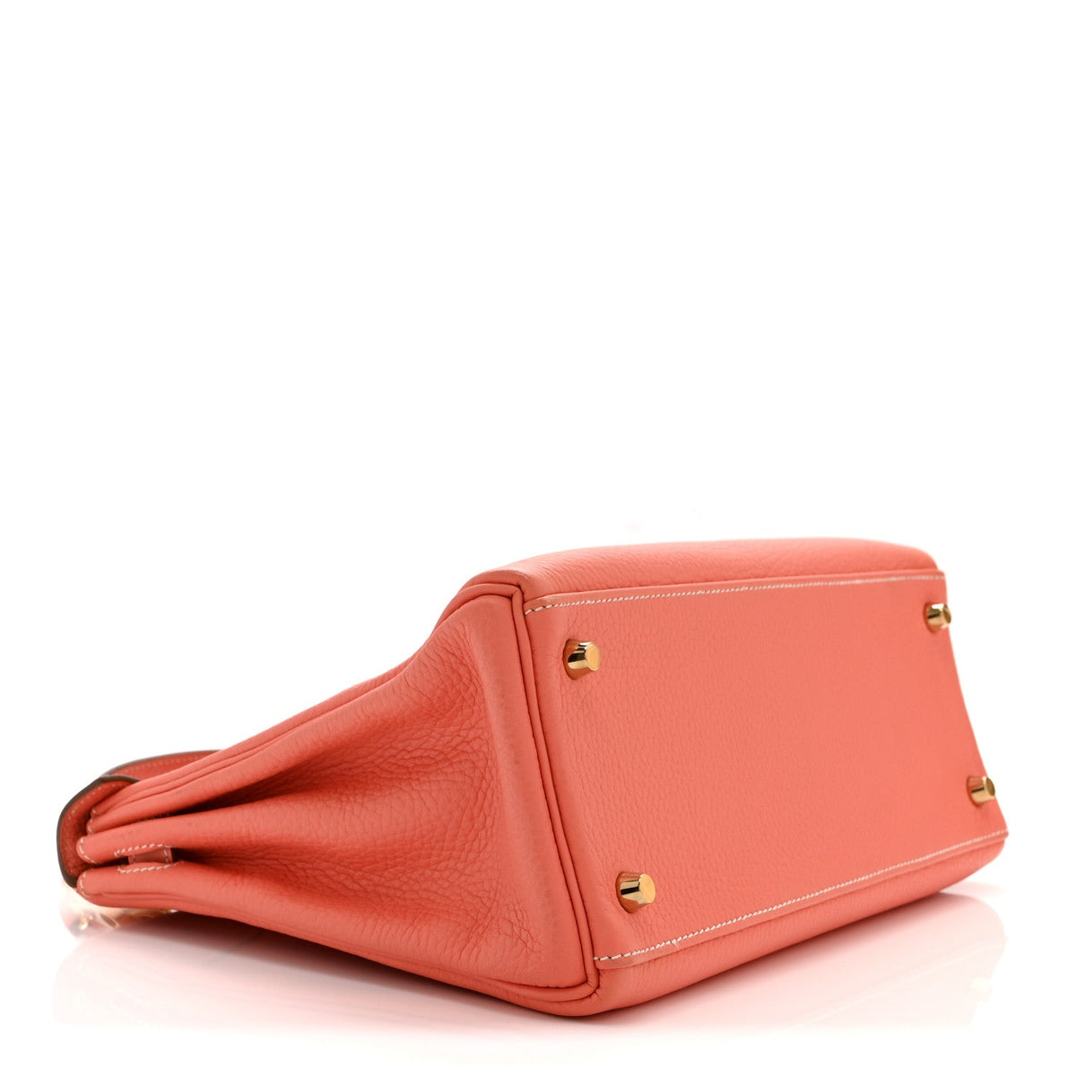 Taurillon Clemence Kelly Retourne 28  Flamingo