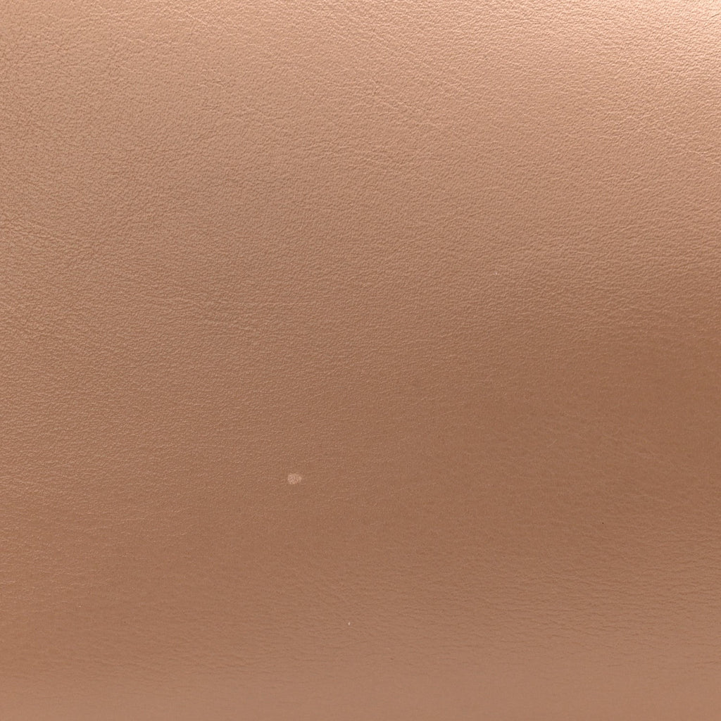 Smooth Calfskin Medium Rodeo Top Handle Handbag Latte