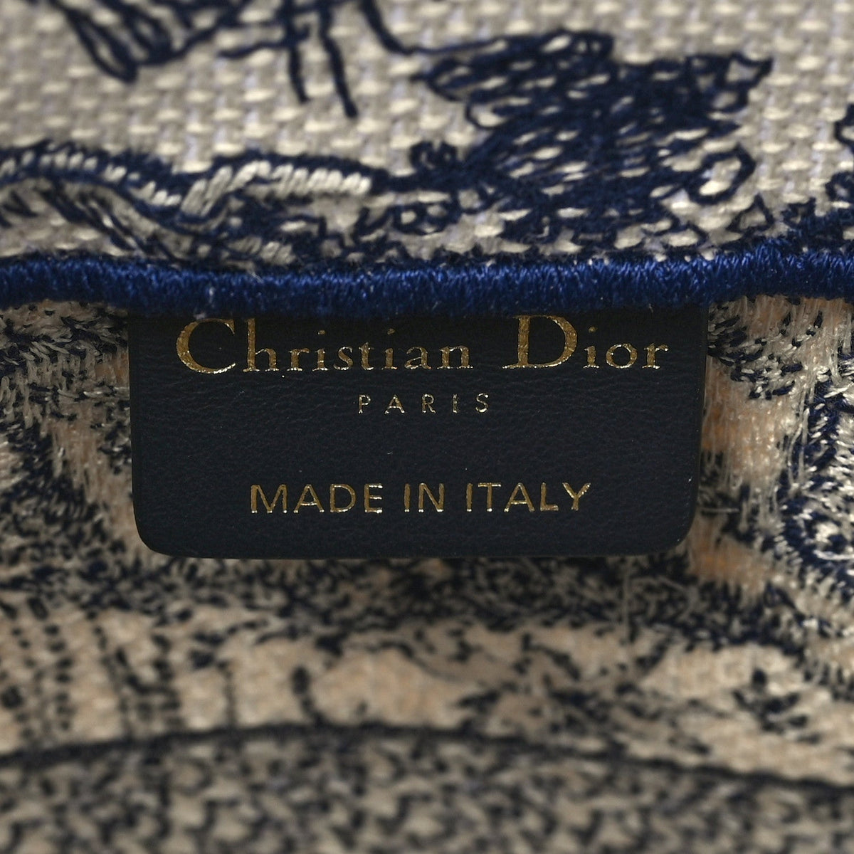Canvas Embroidered Medium Dioriviera Toile De Jouy Book Tote Blue