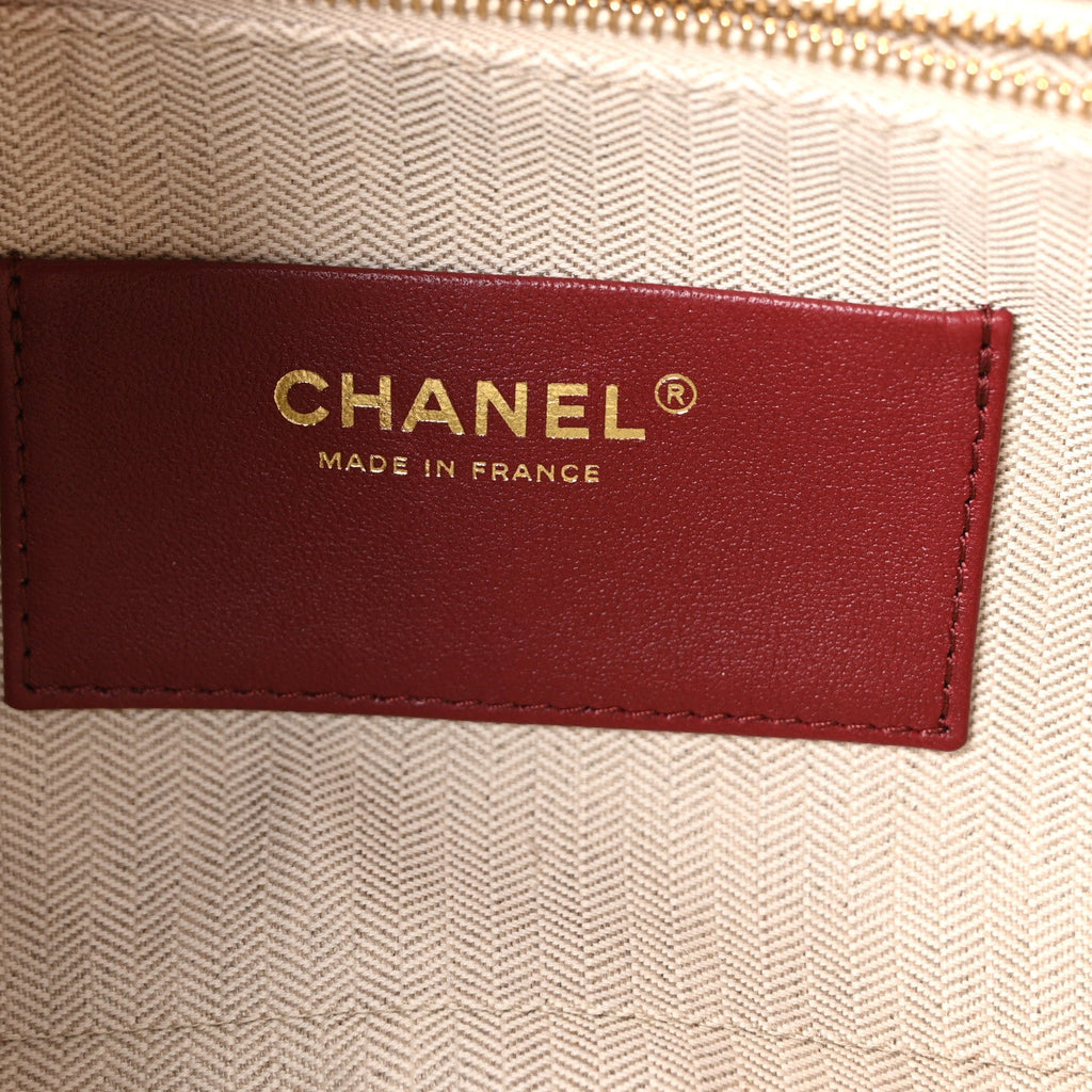 Suede Calfskin Maxi Camera Case Dark Beige