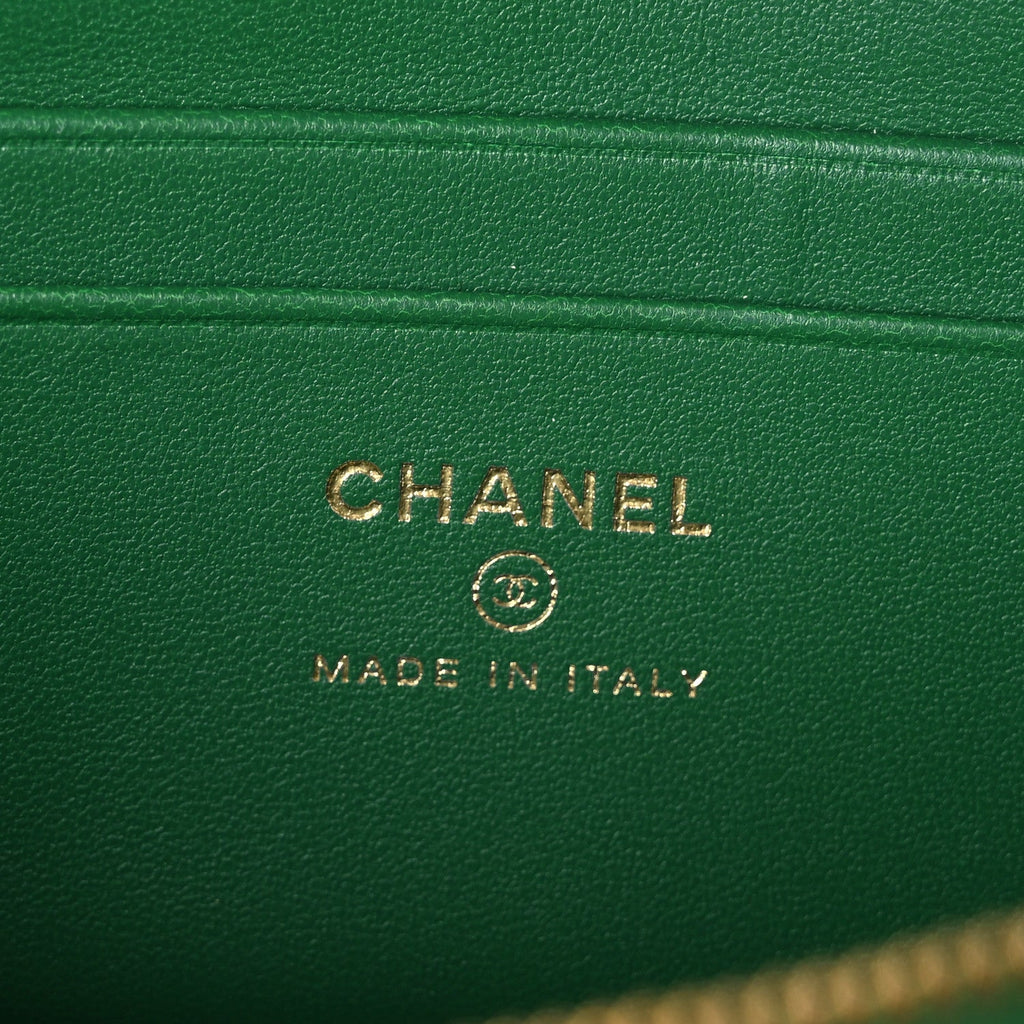 Calfskin Crocodile Embossed Crococo Exoticoco Vanity With Chain Emerald
