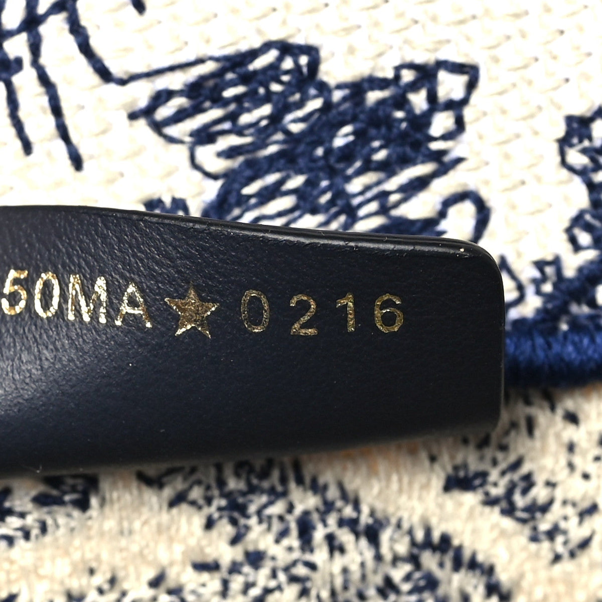 Canvas Embroidered Medium Dioriviera Toile De Jouy Book Tote Blue