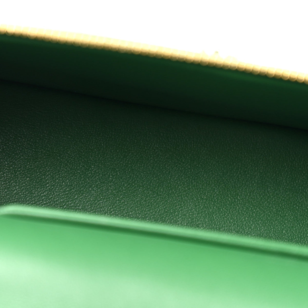 Calfskin Crocodile Embossed Crococo Exoticoco Vanity With Chain Emerald