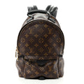 Monogram Palm Springs Backpack PM