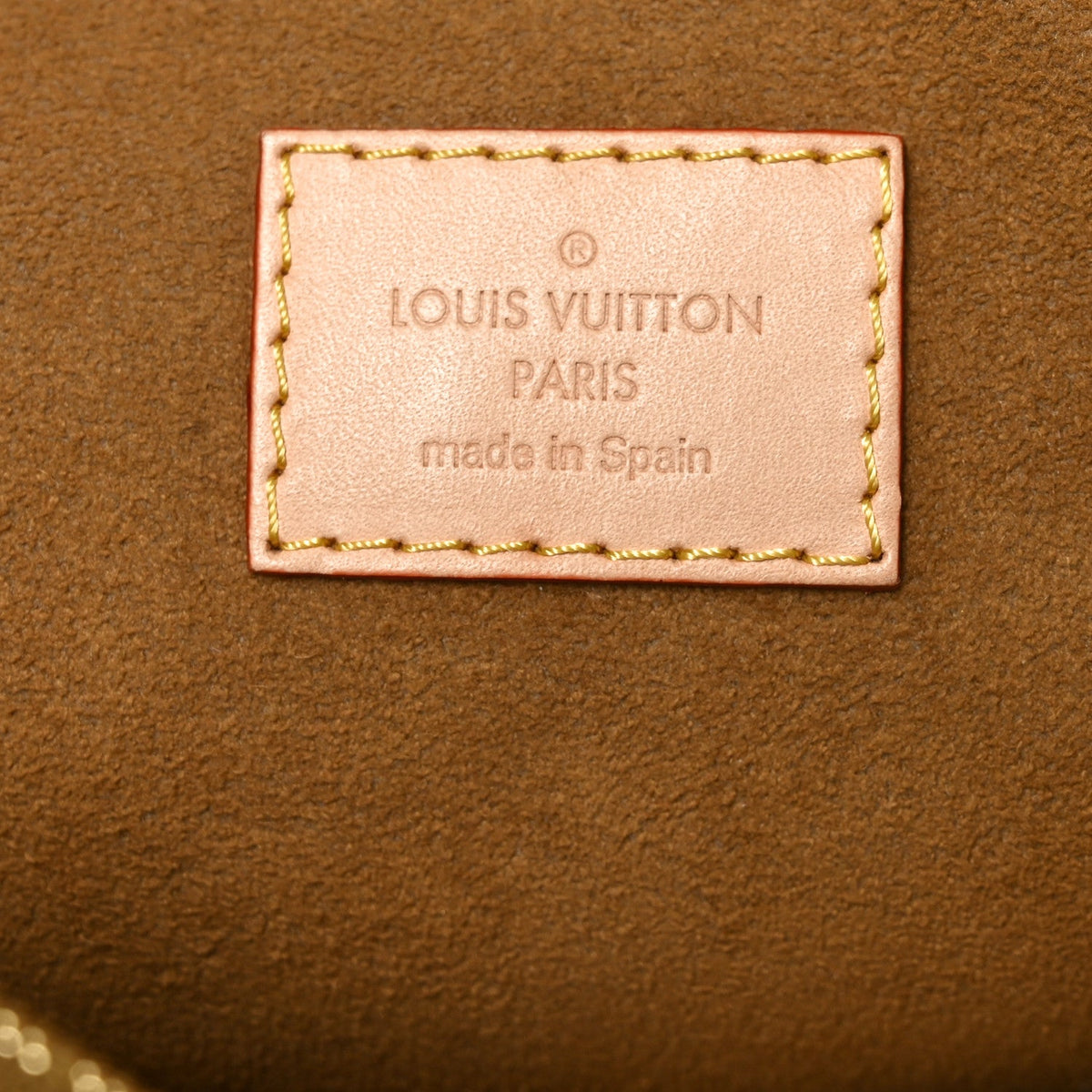 Monogram Dauphine Soft GM